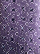 ROUNDTREE  YORKE NWOT Multicolor Paisley Silk Tie 58 " X 3 5/8"