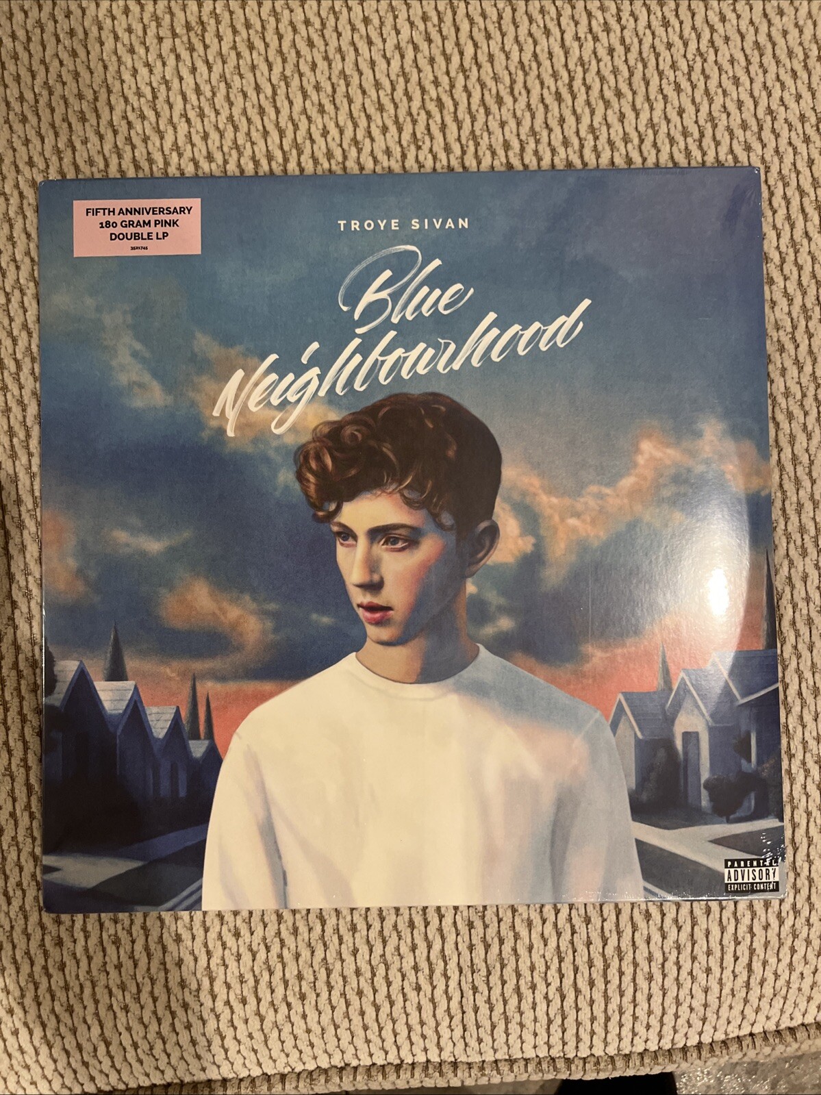 Troye Sivan Blue Neighborhood Pink Colored Vinyl 2LP Urban Outfitters Brand NEW