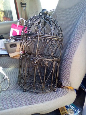 Mexium Wrought Iron Bird Cage Parrot Cages Macaw Dome Top 0657 Black Vein-033