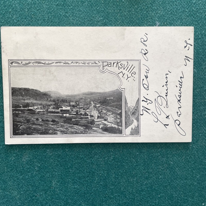 1906 Postcard Parksville New York