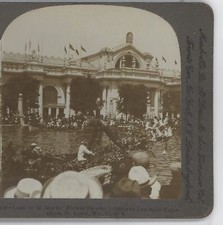Lion of St. Marks Flower Parade St. Louis World's Fair Keystone Stereoview 1904