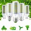 LED-Corn-Bulb-E27-B22-E14-G9-GU10-5730-SMD-AC-220-110V-Light-7W-30W-Lamp-Lights thumbnail 2