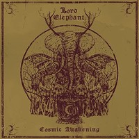 Lord Elephant - Cosmic Awakening Coloured Vinyl - Vinyl Record - G3Z