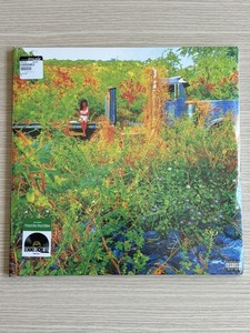 Jhene Aiko Vinyl Record | eBay