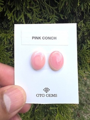 Pink Conch Matching pair Cabochon 16x12 mm, 2 Pieces (GTG-PC-3)