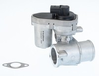 BorgWarner (Wahler) 710942D Agr-Ventil FüR Ford Jaguar