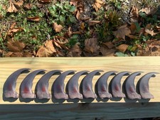 Ten Large 3" Bear Claws 10 Grizzly Bear Claws Includes Free Shipping