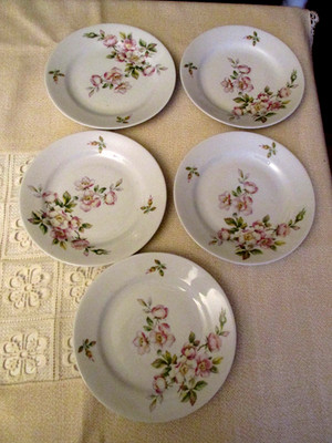 5 DDR Kahla Kuchenteller mit dekorativem Blumen/Blütendekor - 19 x 2,5 cm