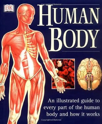 The Human Body (Illustrated Guide)