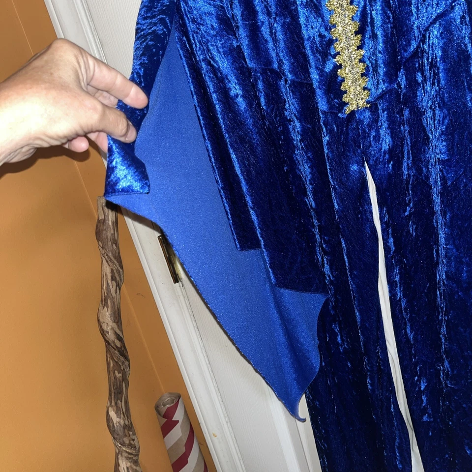 Renaissance Costume Adult Medieval Maiden Princess Queen Fancy Dress Blue , Gold - Image 4 of 4