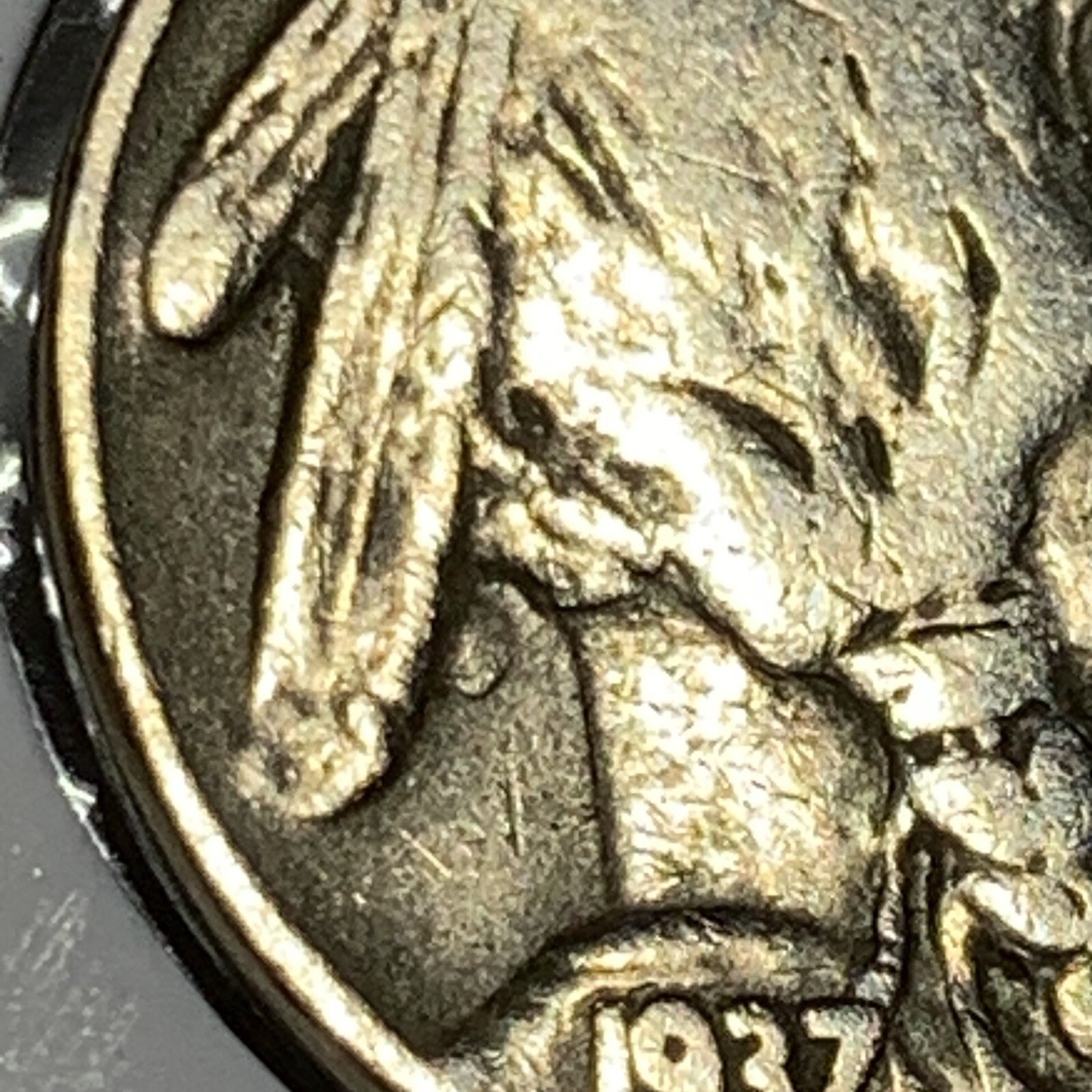 Picture 2 of 8