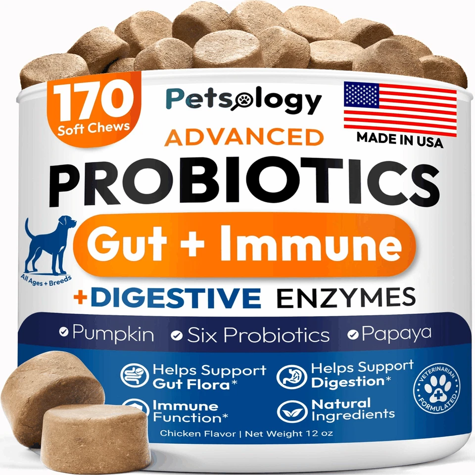 PETSOLOGY Probiotics for Dogs 170 Chews Dog Digestive Enzymes Prebiotics Support Gut