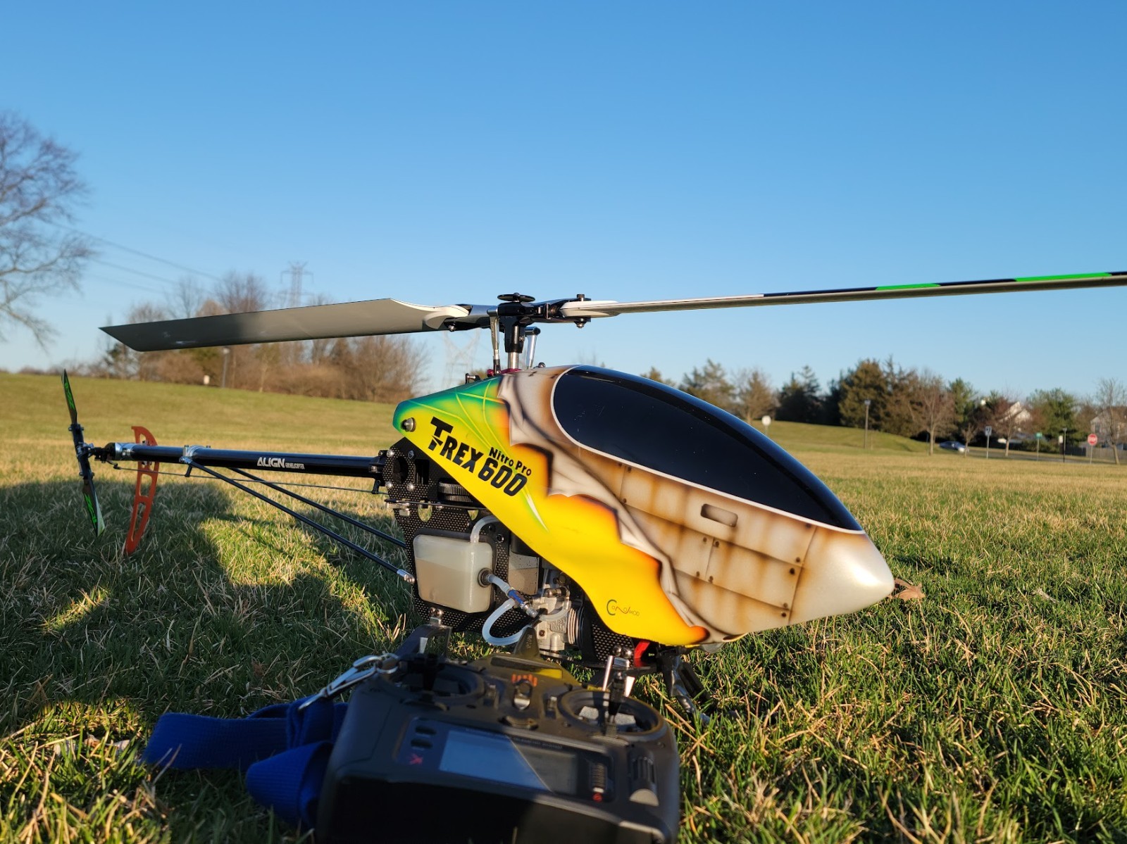 Align TRex 600 Nitro Pro