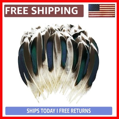 100Pcs Duck Feathers Natural Spotted Feathers Wild Turkey Feather for Crafts Hat