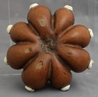 Vintage Chinese Eight-lobed Melon Form Gourd Cricket Cage Carved Lid Vent Holes — photo 3