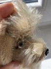 Bild 7 von 10