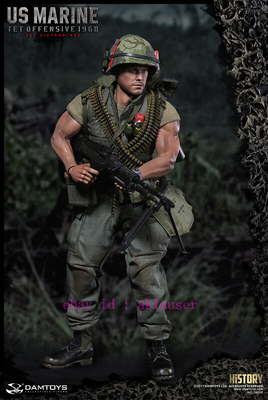 Damtoys 1/6 Dam 78038 Us Marine Tet Offensive 1968 The Viethan War
