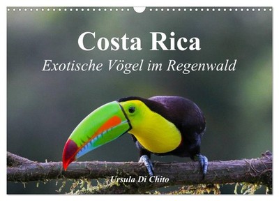Costa Rica - Exotische Vögel im Regenwald (Wandkalender 2027 DIN A3 quer), CALVE
