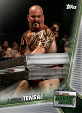 2019 Topps WWE Money in the Bank Wrestling Base or Bronze Cards Pick From List
