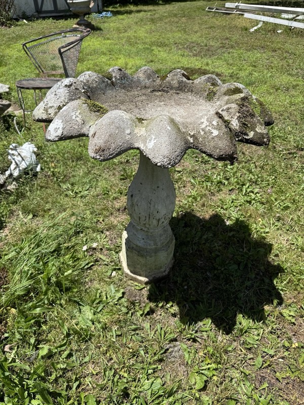 Antique Concrete Flower Petal Birdbath on Fluted Pedestal