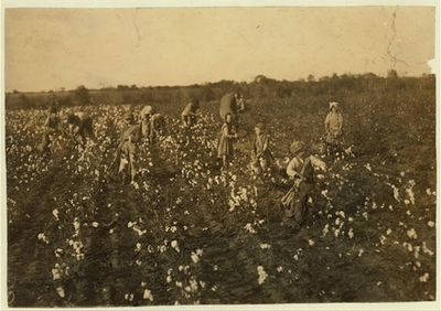 #ad Cotton PickersFarm near McKinneyTexasChild LaborLewis Wickes Hine19133 $9.99