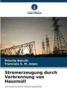 Priscila Bolcchi (U. A.) | Stromerzeugung Durch Verbrennung Von HausmüLl | Buch