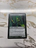 MTG Gilt-Leaf Archdruid The List Non Foil LP