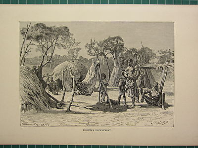 C1890 Antike Druck ~ Bushman Lager ~