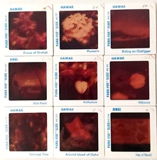 35mm Slides Hawaii Flowers Maps Pana-Vue Professional Images Lot of 9 #21900