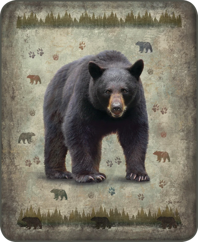 REGAL Queen Native Black Bear Print Aztek Plush Mink Faux Fur Blanket Super Soft Full