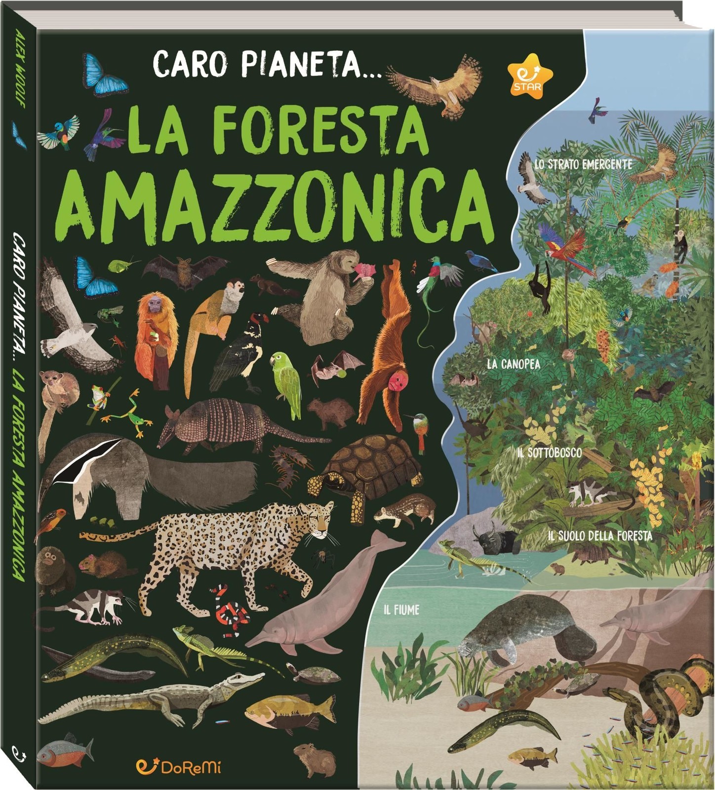 Libri Alex Woolf - La Foresta Amazzonica. Ediz. Illustrata