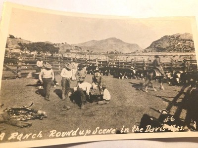 Ranch round up scene in the Davis Mountains Texas cowboys rppc postcard a129