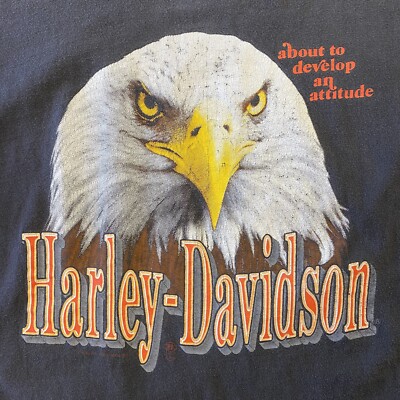 Vintage 90s Harley Davidson Eagle Graphic About to Develop