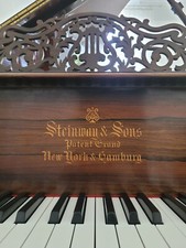 Steinwayflügel C Palisander