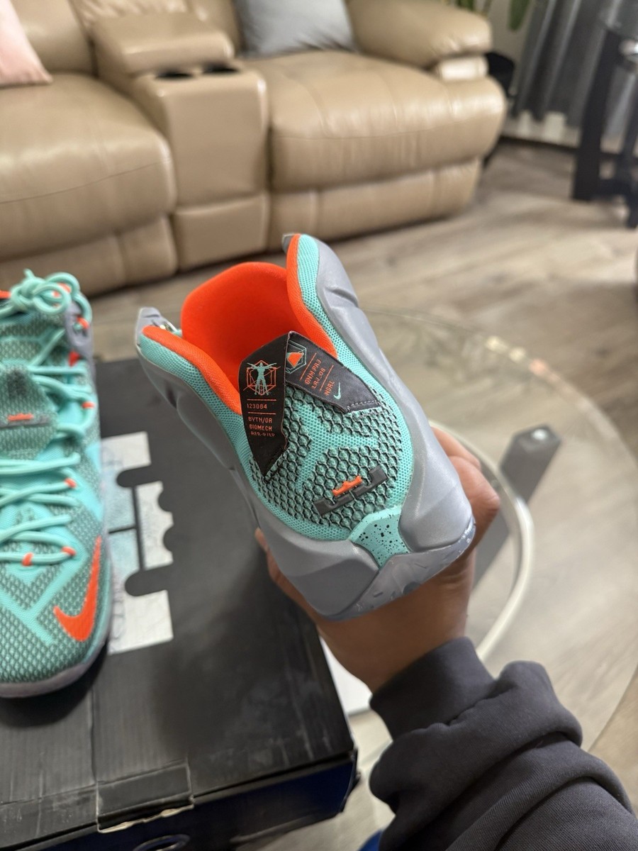 Nike LeBron 12 NSRL 2024 Size 10.5 684593-301 Shoes Sneaker‎ Nike | Shoes | Nike Lebron 2 Nsrl 224 Size 105 684593301  main image 3