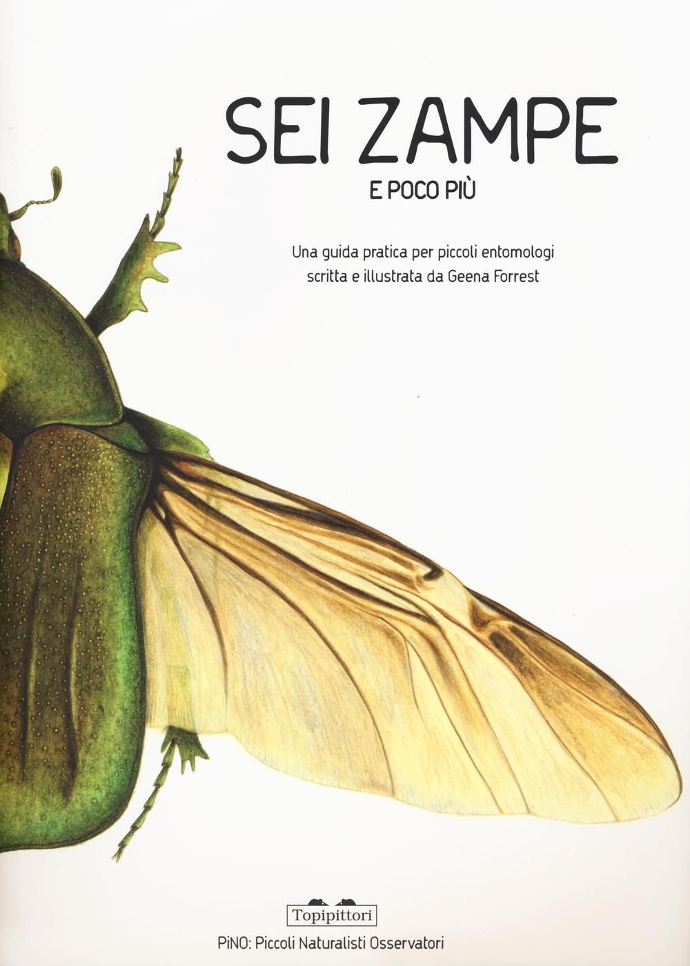 Sei zampe e poco più. Una guida pratica per piccoli entomologi. Ediz. illustrata - Immagine 4