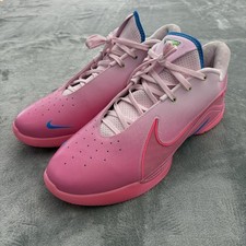 Nike LeBron 22 I Promise for Sale | Authenticity Guaranteed | eBay
