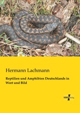 Hermann Lachmann | Reptilien und Amphibien De...