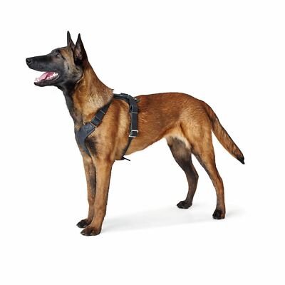 Perfect Fit Dog Harness How To Put On DURABLE Comfortable PADDED Dog Harness HANDLE Reflective Medium Large M  XXL