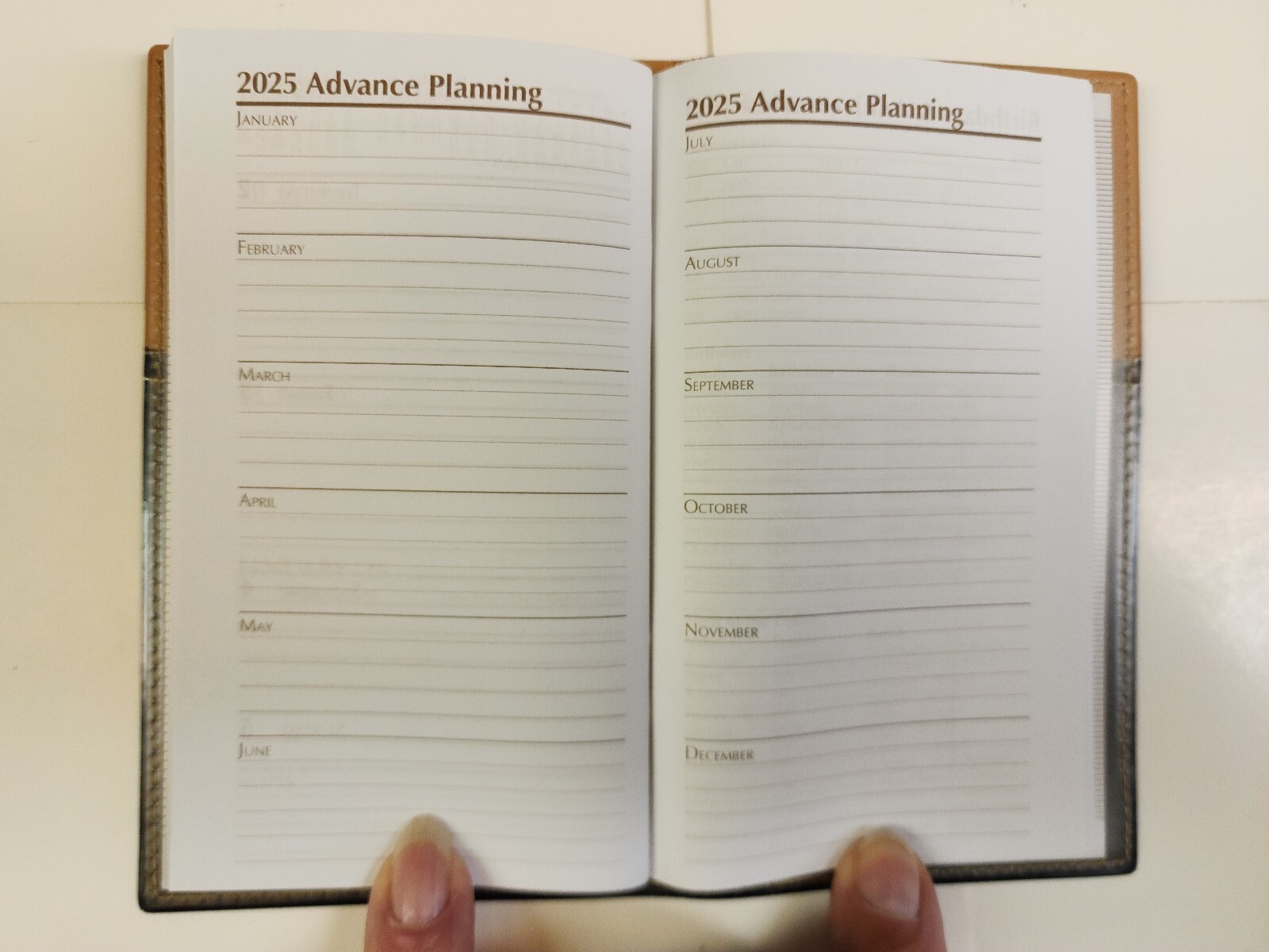 2024 Pocket Pal Calendar Personal Planner and Diary Brand New In