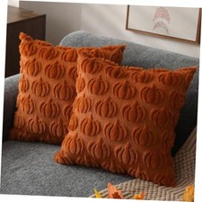Fall Pillow Covers 18x18 2Pcs Pumpkin Fall 18" x 18" Pack of 2 Rust