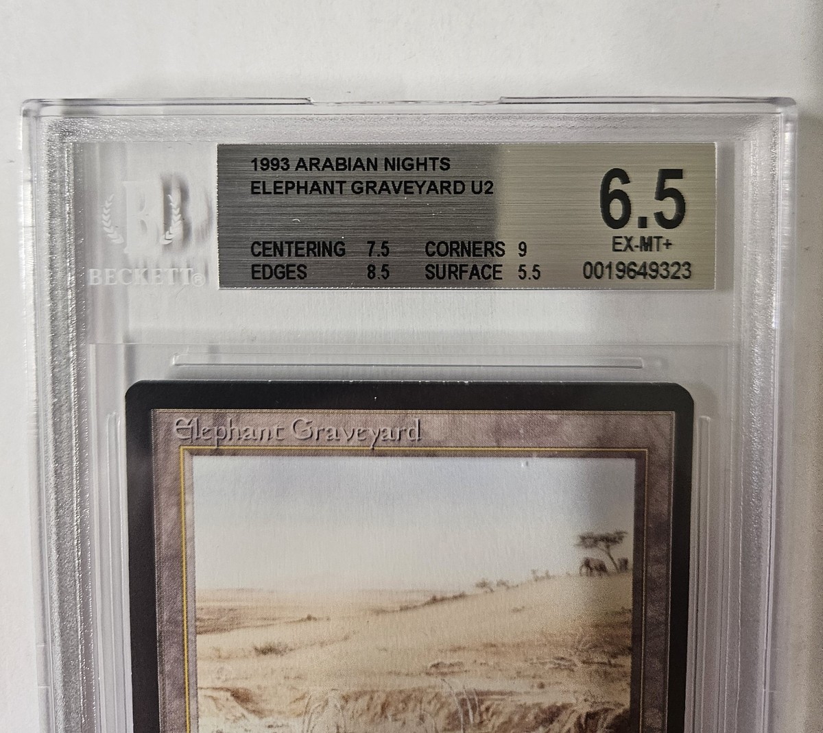 Elephant Graveyard - MTG: Magic the Gathering Arabian Knights