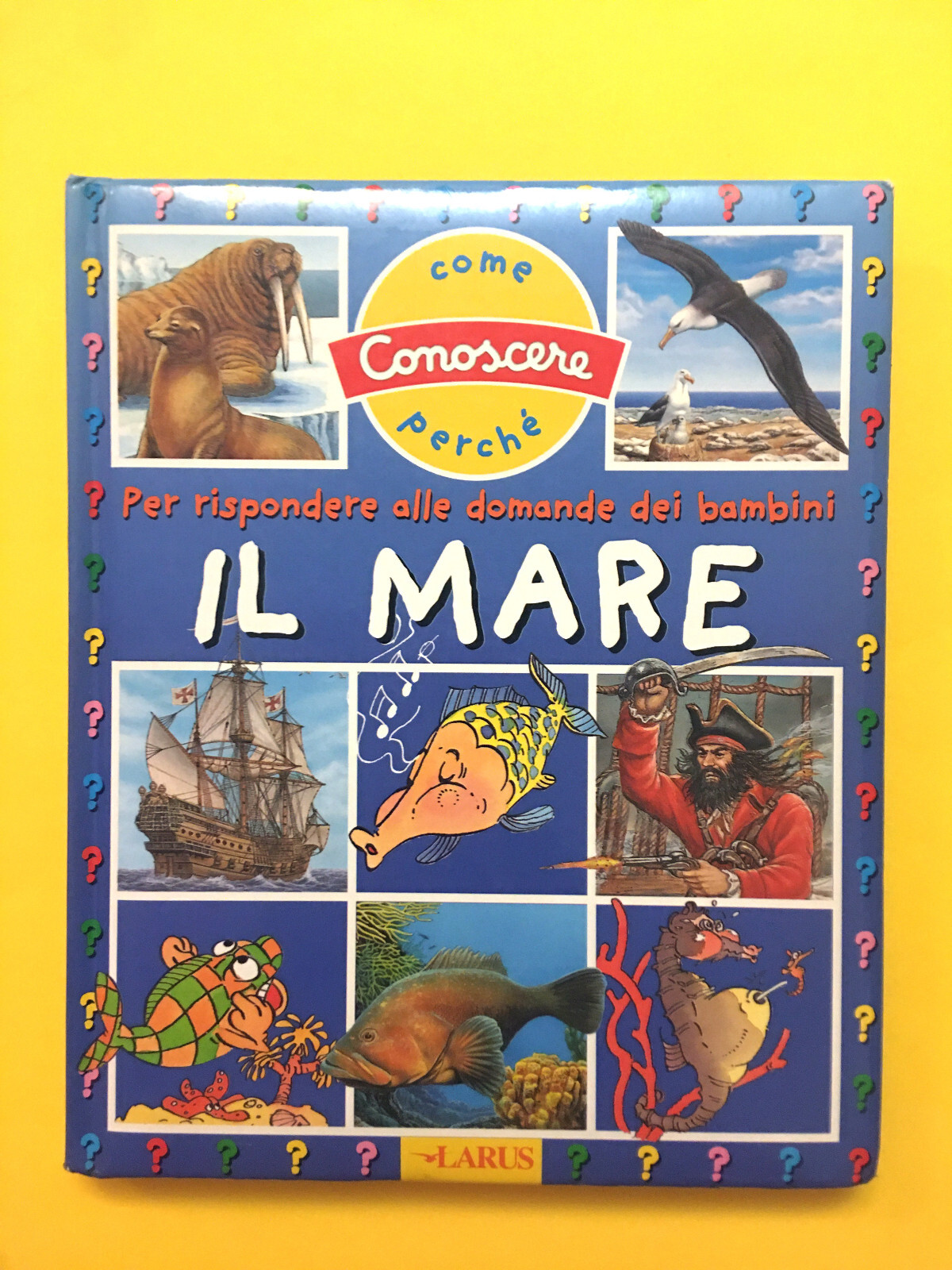 Foto 1 di 4