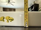 Picture 17 of 24
