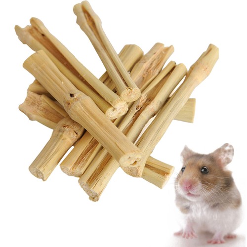 Hamster Treat Toy Guinea Pigs Teeth Toy Small Pet Snacks Guinea Pigs Foods