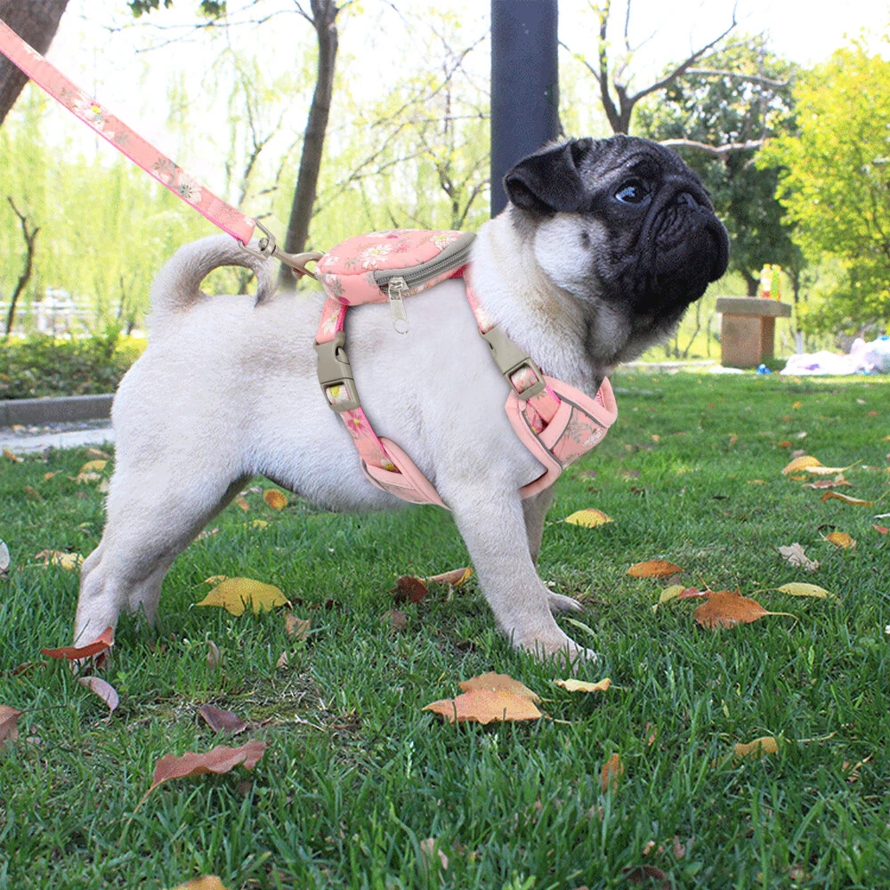 Dog Harness&Leash&Treat Bag Mesh Reflective Pet Puppy Cat Walking Harness Vest