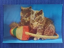 Vecchio Cartolina Ak 2 Gatti Domestici Gatti Persiani Bianco Grigio Cestino Di