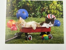 2003 Don Ayres Cute Kittens Wagon Greeting Card Made in USA