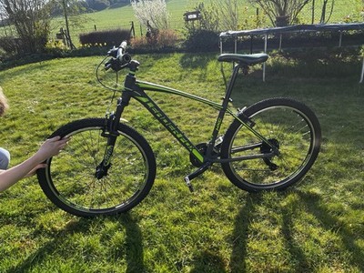 26 Zoll Alu MTB Leader Fox Factor 8 Gang Scheibenbremsen schwarz Grün
