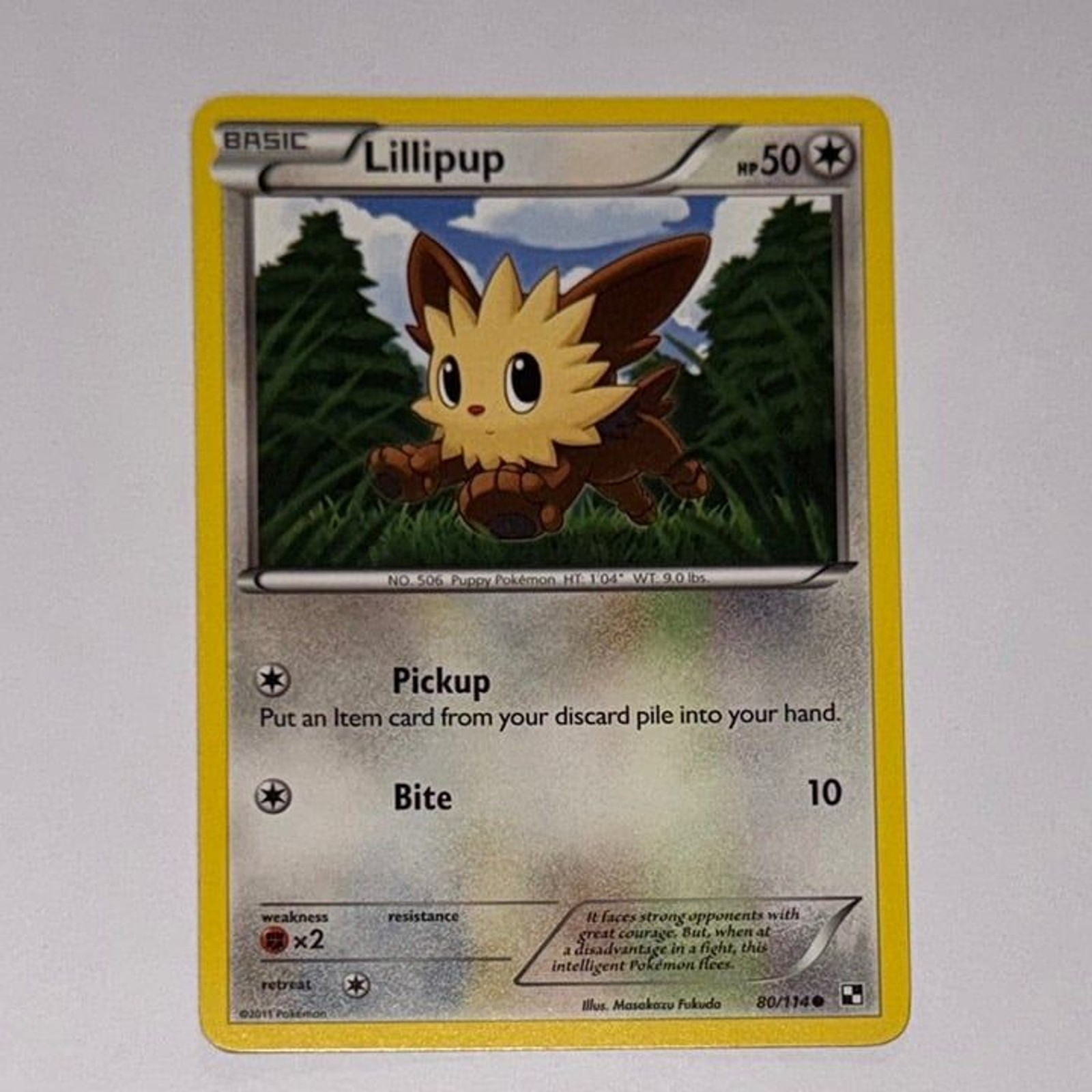 Pokémon Card: Lillipup 80/114 (Pokemon Black & White)